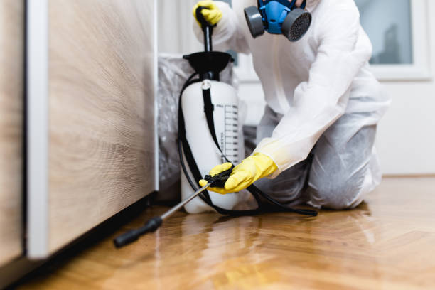 Best Commercial Pest Control Services  in Bay, AR