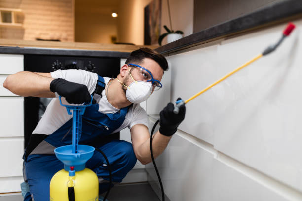 Best Pest Control Near Me  in Bay, AR