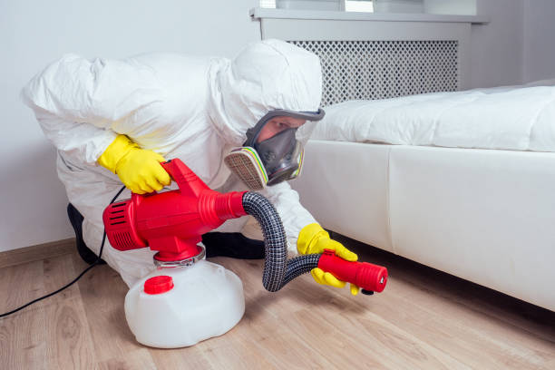 Best Residential Pest Control  in Bay, AR