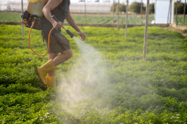 Professional Pest Control in Bay, AR