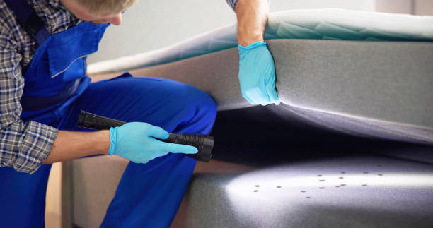 Best Cockroach Control Services  in Bay, AR