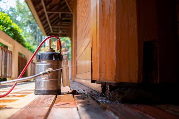 Best Cockroach Control Services  in Bay, AR