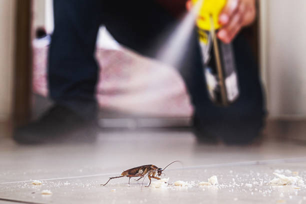 Best Emergency Pest Control  in Bay, AR