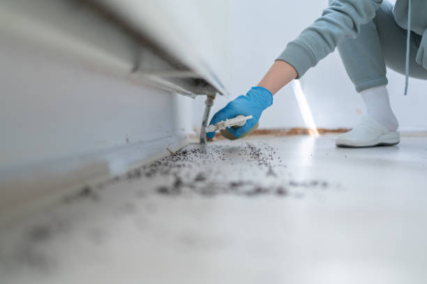 Best Best Pest Control Companies  in Bay, AR